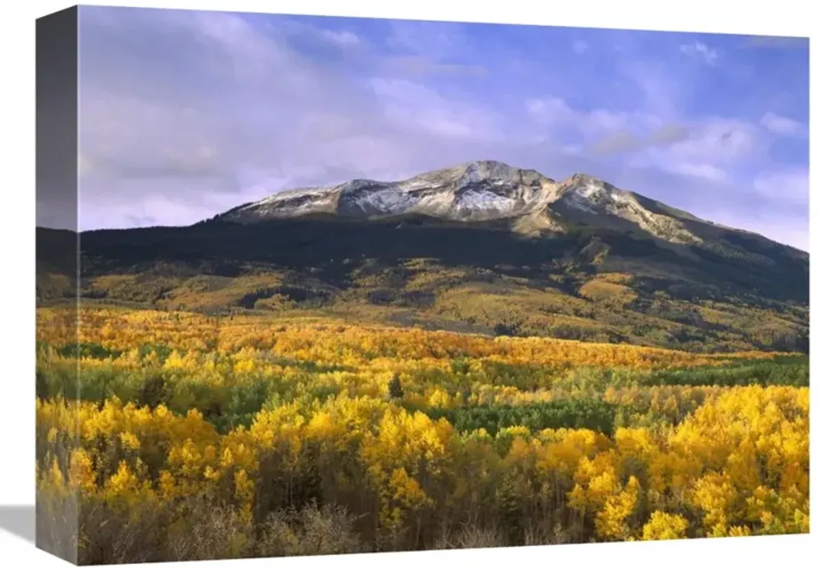 East Beckwith Mountain and trees in fall color, Gunnison National Forest, Colorado-Canvas Art-16x12