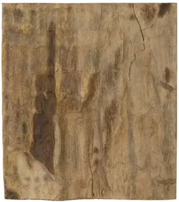 Cast Petrified Wood Square Wall Tile