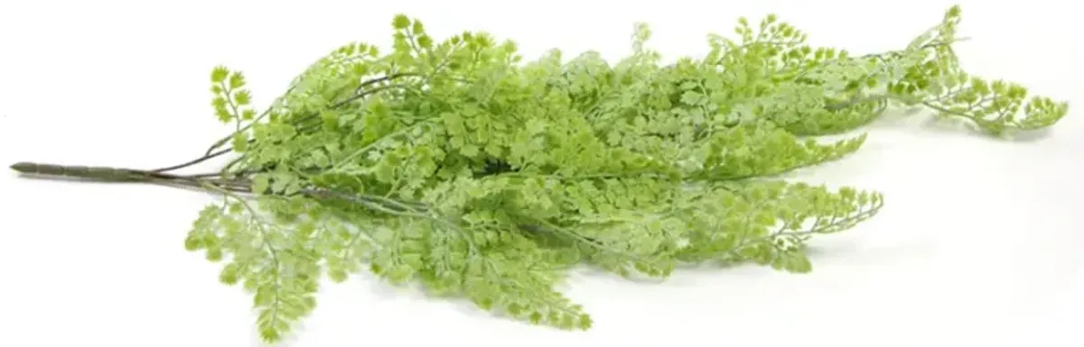 Artificial Light Green Maidenhair Fern 31" UV Resistant