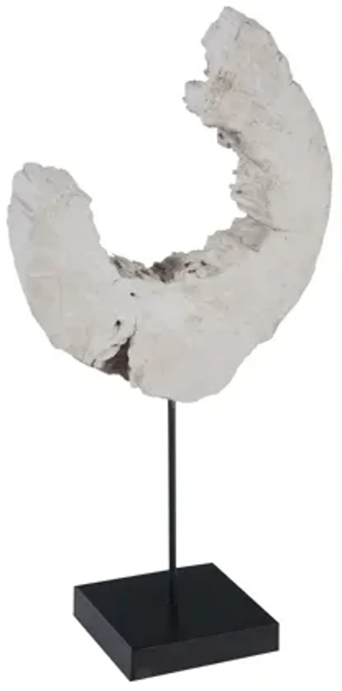 Wood C Sculpture on Stand