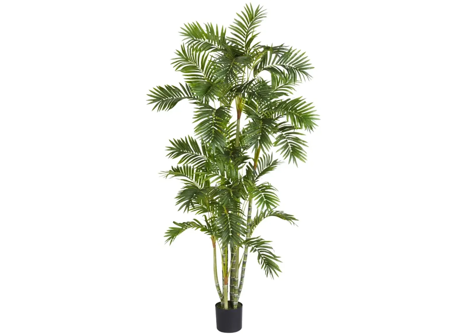 HomPlanti 6 Feet Areca Palm Silk Tree