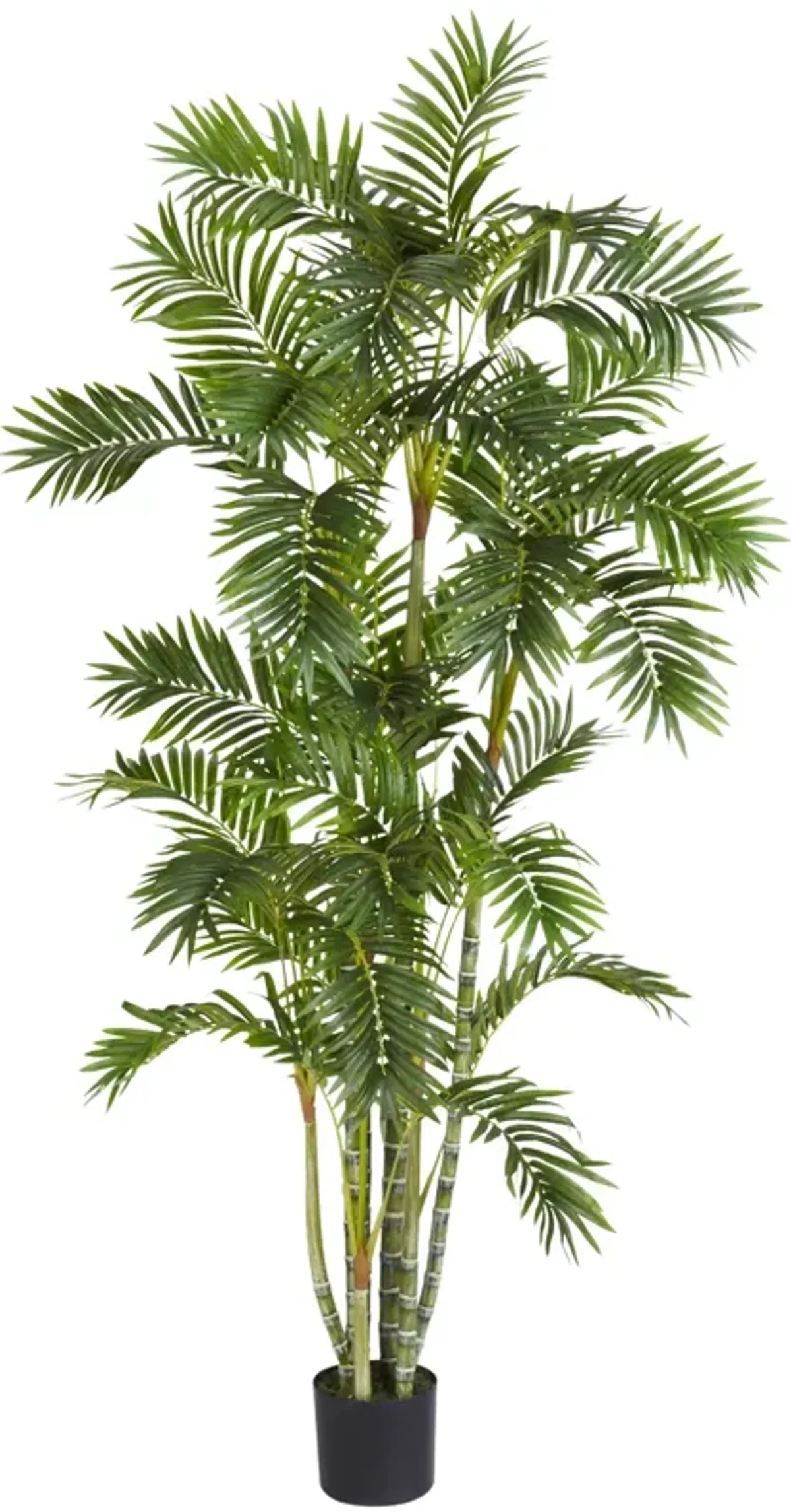 HomPlanti 6 Feet Areca Palm Silk Tree