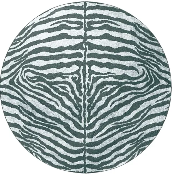 Akina AK1 Flannel 8' Rug