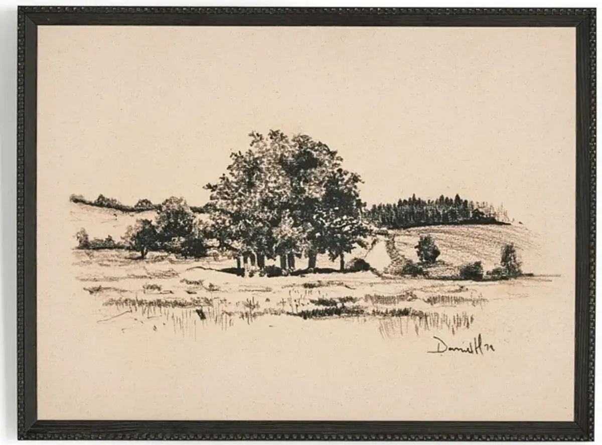 Path View by Dan Hobday