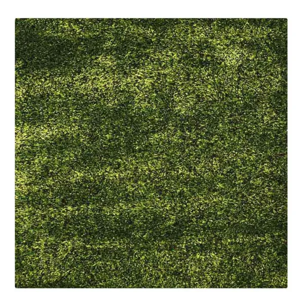 RUGSOTIC CARPETS HAND TUFTED SHAG POLYESTER ECO-FRIENDLY AREA RUGS  - 6'x6', Square, Green, Solid Plain Design, High Pile Thick Handmade Anti Skid Area Rugs for Living Room, Bed Room K00108