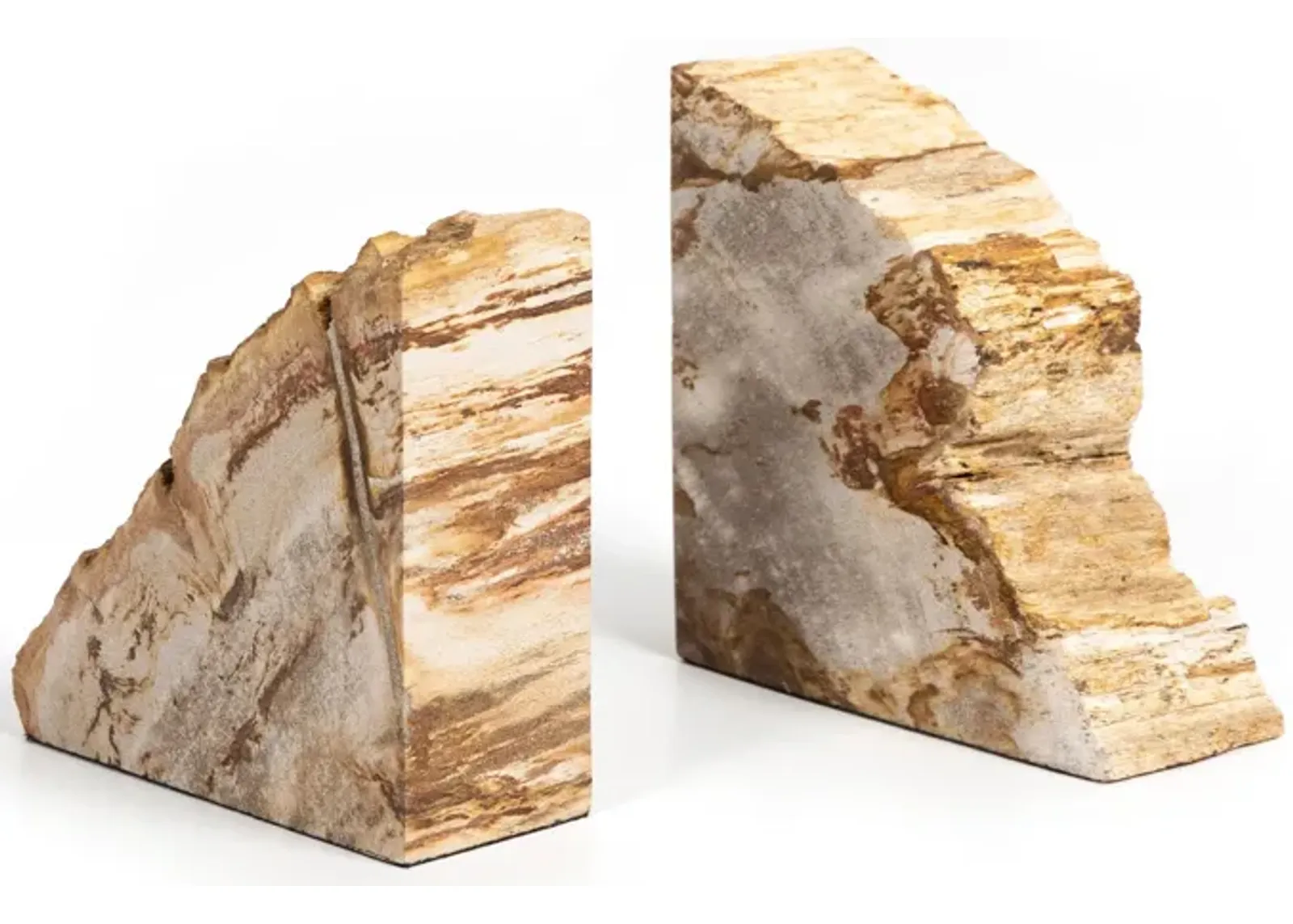 Petrified Wood Book Ends