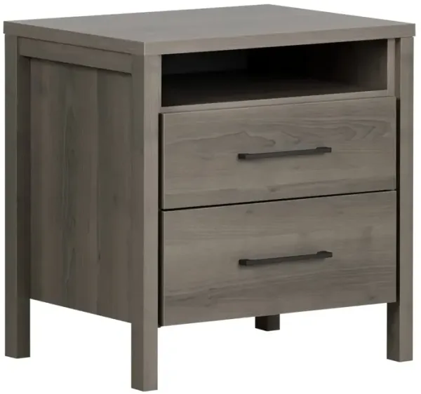 Hivvago Modern Grey 2 Drawer Nightstand Cubby Storage Shelf