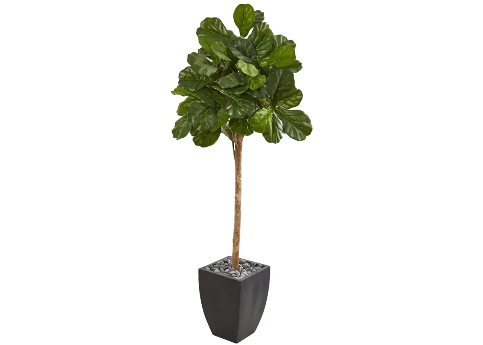 HomPlanti 71 Inches Fiddle Leaf Fig Artificial Tree in Black Planter