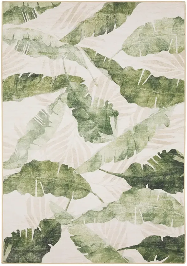 Fiji 3'6" x 5'6" Beige Rug