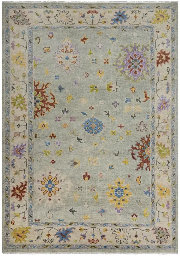 Envision ENV995 8' x 10' Rug