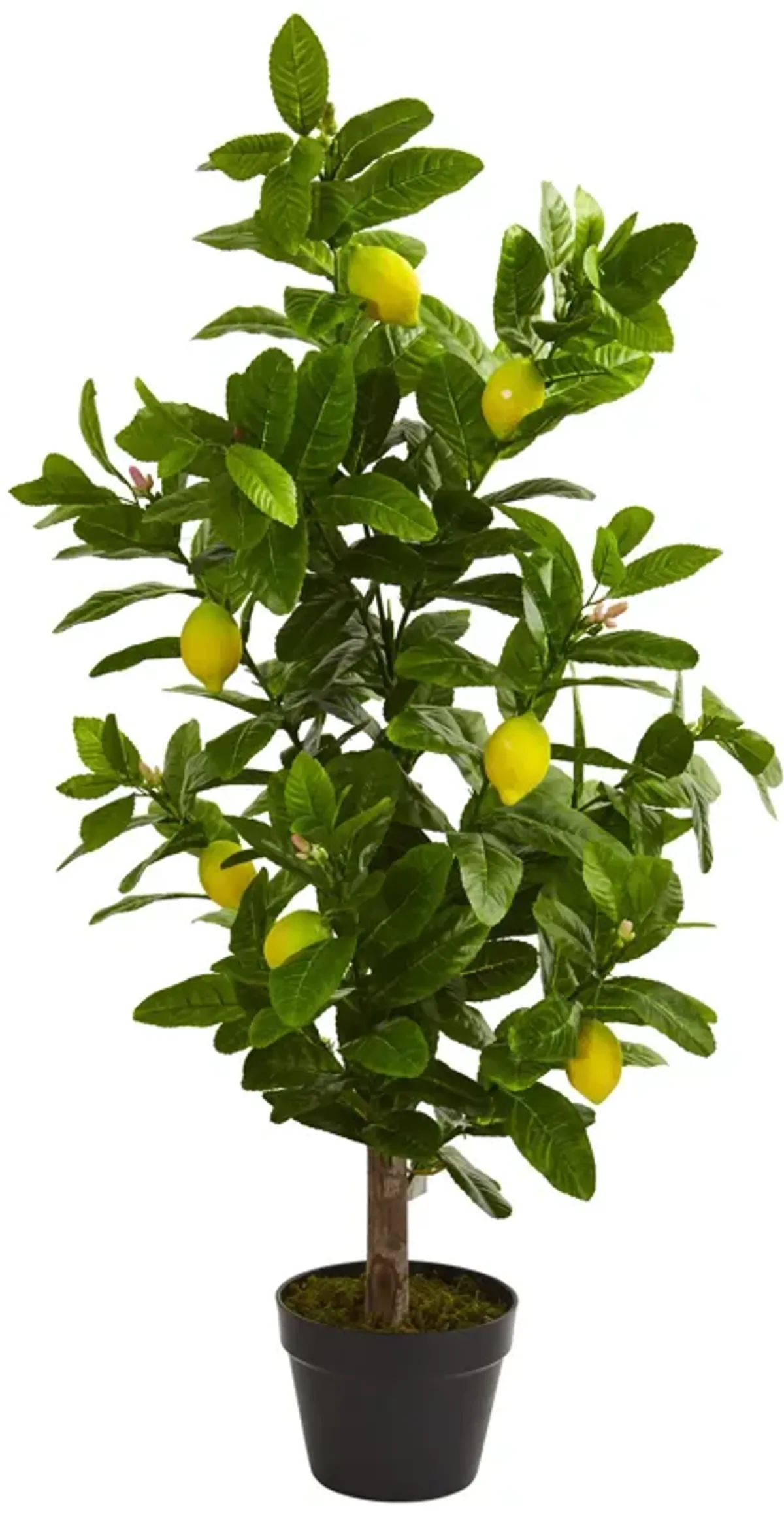 HomPlanti 3 Feet Lemon Artificial Tree