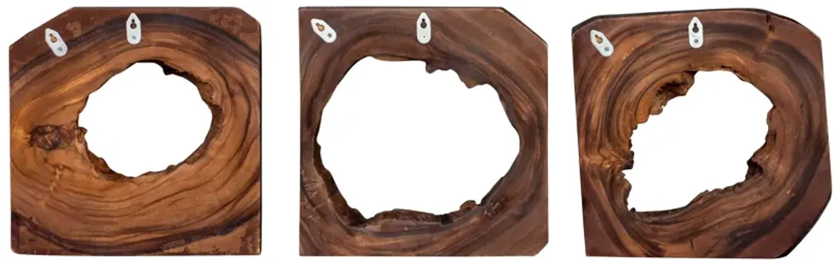 Uttermost Adlai Wood Wall Art S/6