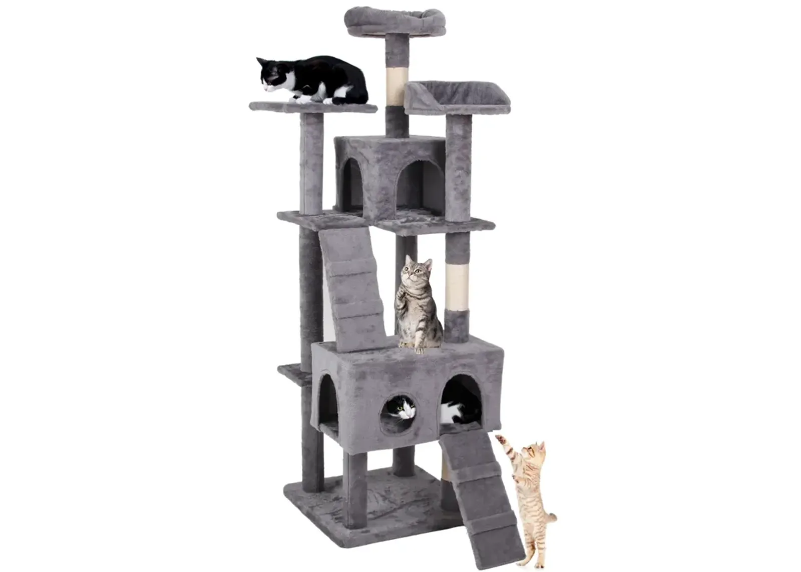 Cat Climbing Frame 0000