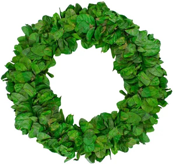 20" Lush Green Preserved Leaf Spring Garden Wreath - Unlit