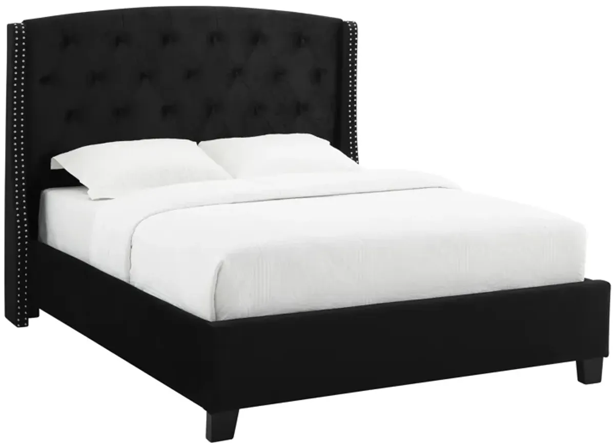 Contemporary Black Demiwings Eva Bed