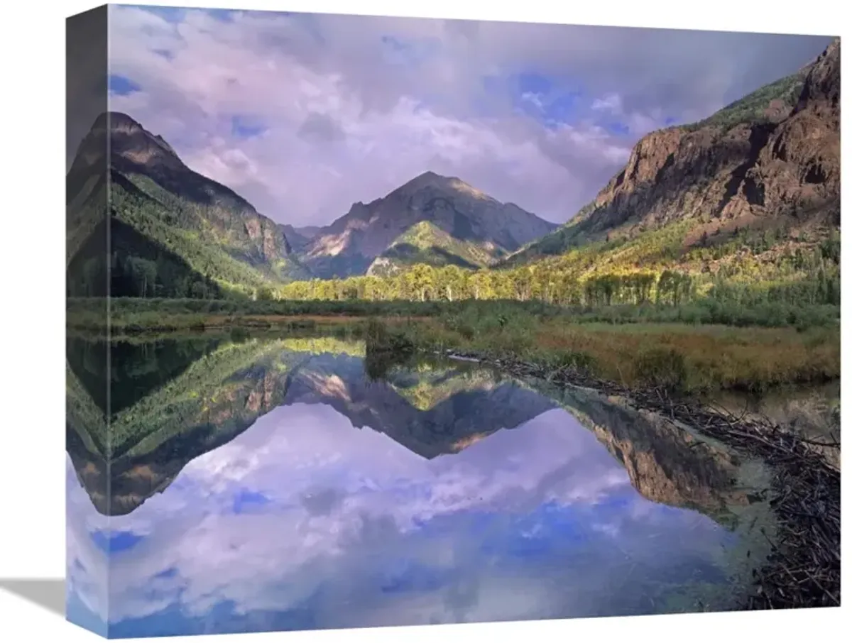 Handies Peak reflected in beaver pond, Maroon Bells-Snowmass Wilderness Area, Colorado-Canvas Art-16x13.28