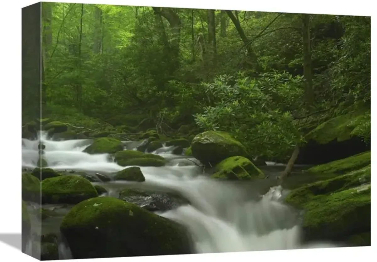 Roaring Fork River flowing through the Great Smoky Mountains National Park, Tennessee-Canvas Art-16x12