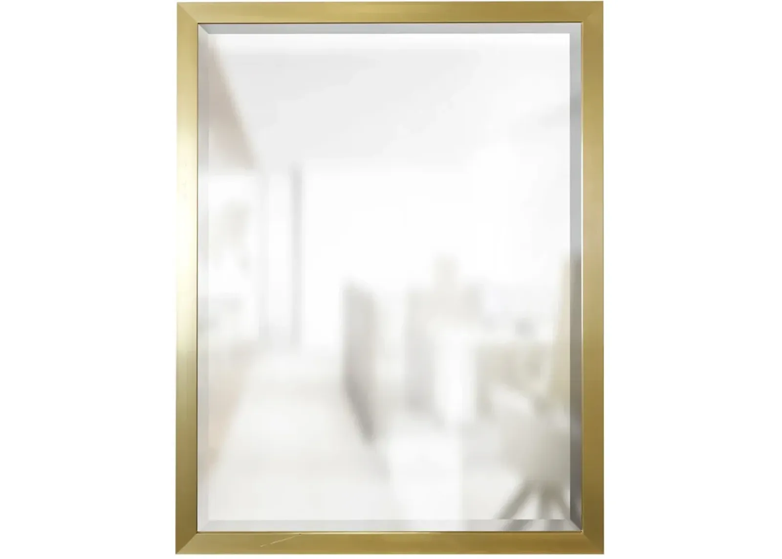 Gold Beveled Framed Mirror