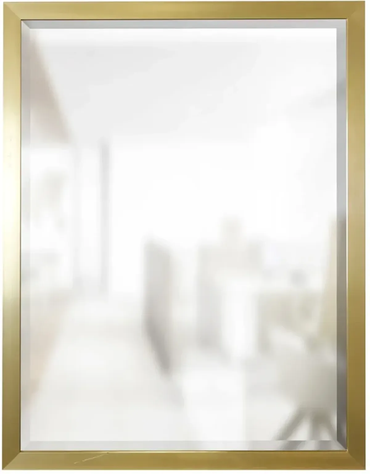 Gold Beveled Framed Mirror