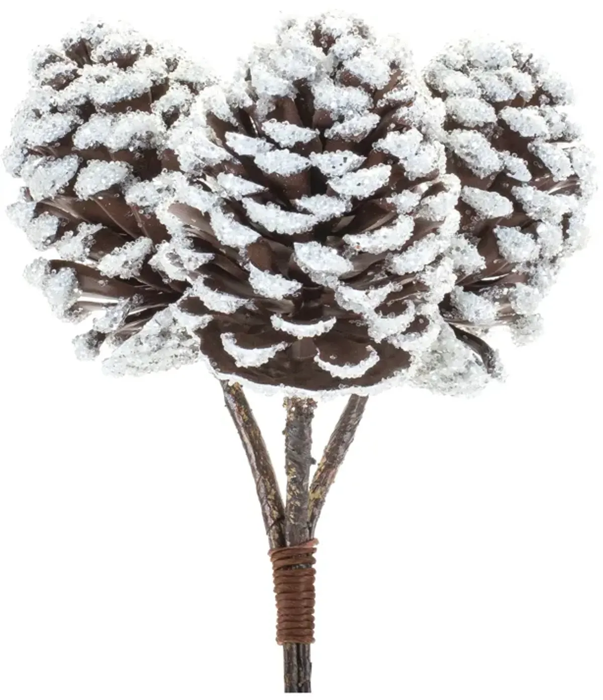 Flocked Cedar Branch Set of 12 for Holiday and Winter Decorations