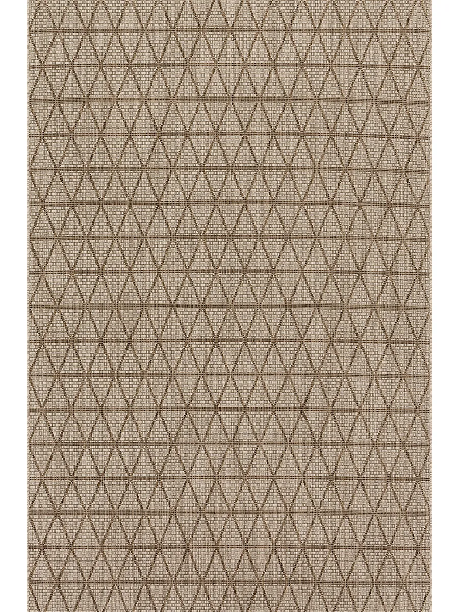 Isle IE04 Beige/Mocha 5'3" x 7'7" Rug