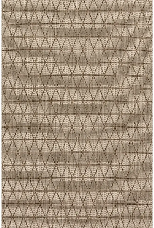 Isle IE04 Beige/Mocha 5'3" x 7'7" Rug