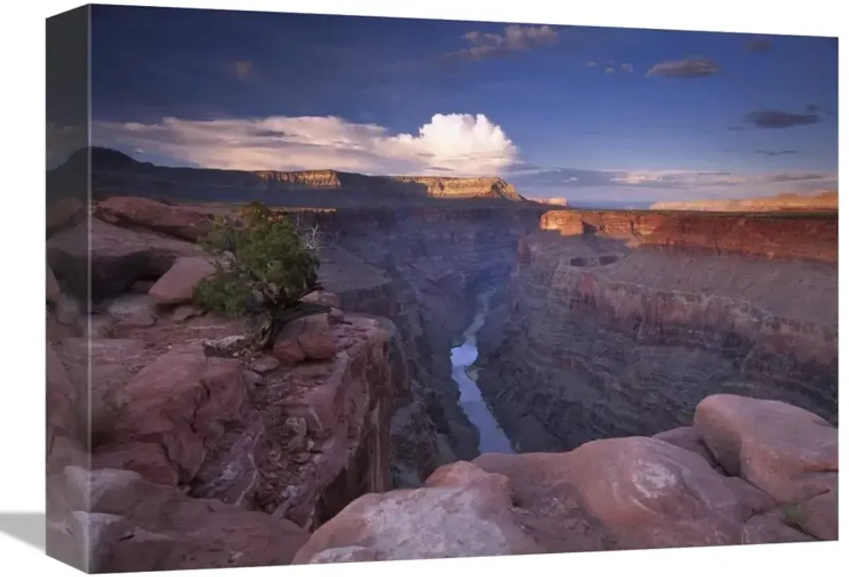 Colorado River from Toroweap Overlook, Grand Canyon National Park, Arizona-Canvas Art-16x12