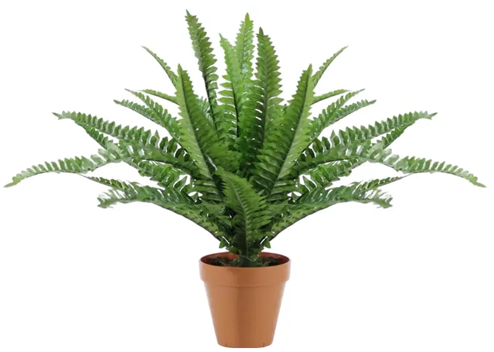 17.5" Potted Artificial Green Boston Fern Plant