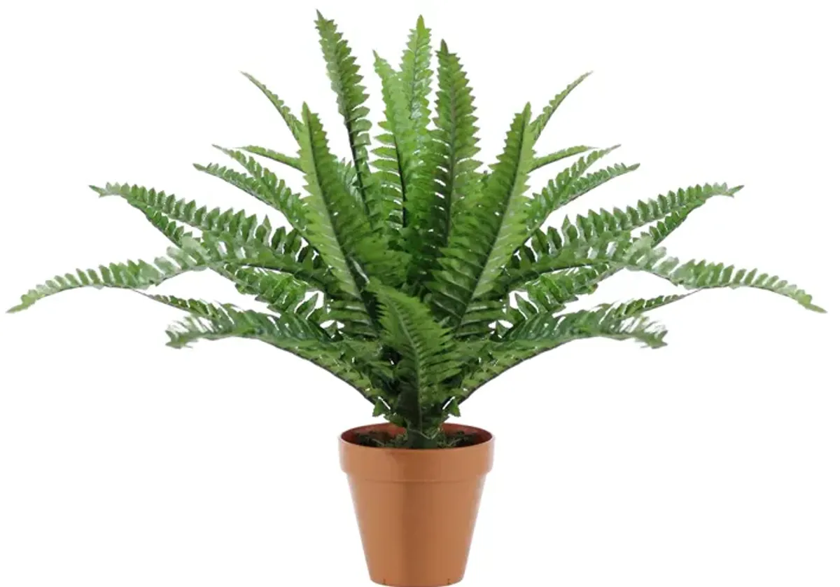 17.5" Potted Artificial Green Boston Fern Plant