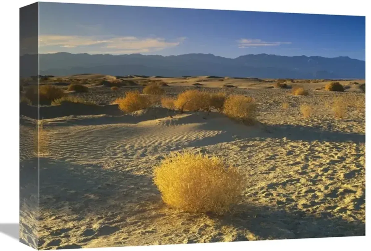 Mesquite Flat Sand Dunes, Death Valley National Park, California-Canvas Art-16x12