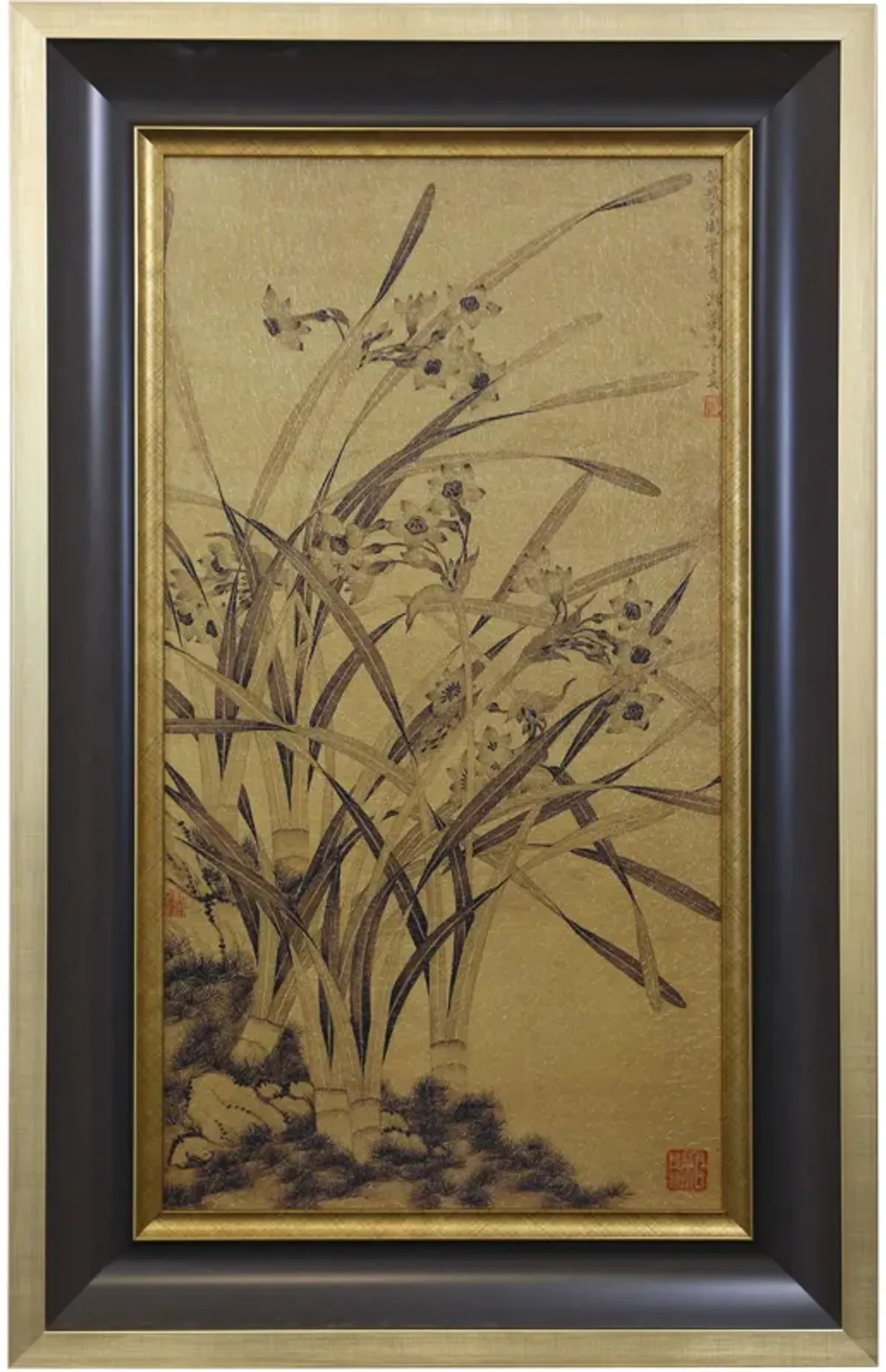 Narcissus Framed Print