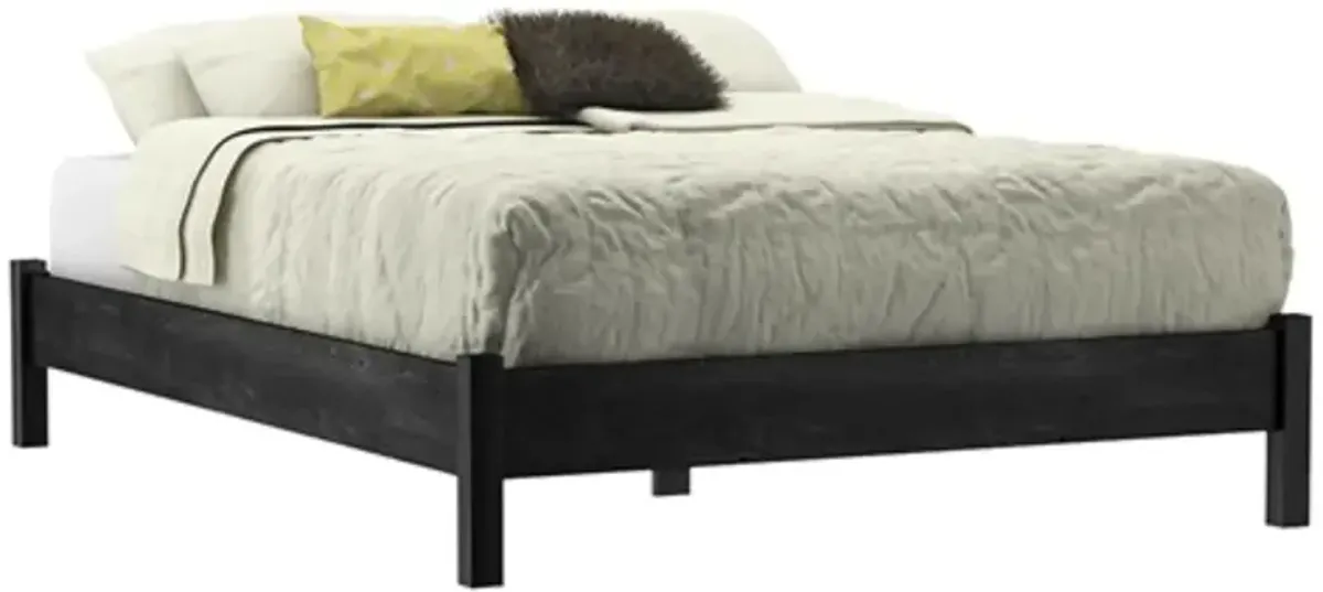 Hivvago Full size Contemporary Platform Bed in Grey Black Wood Finish