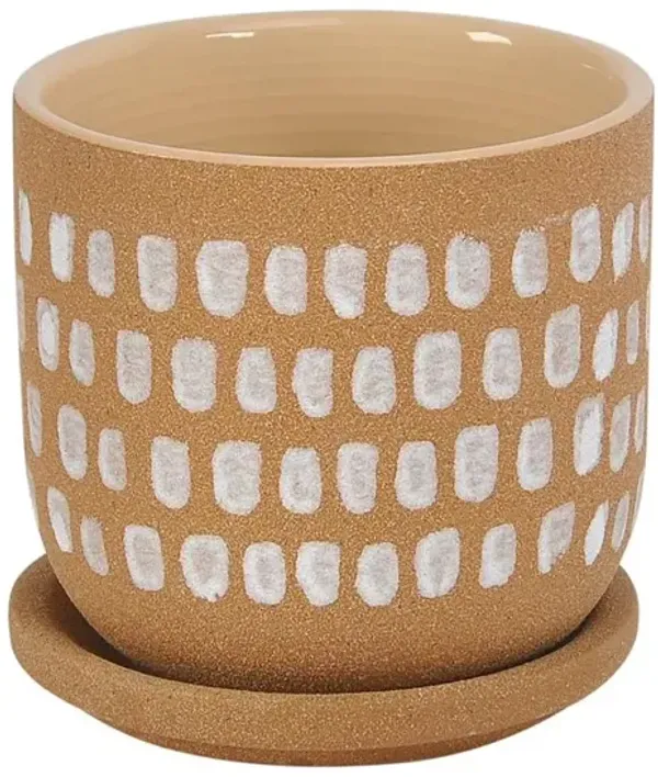 Moe�s Botanical Planter 5.75In Natural