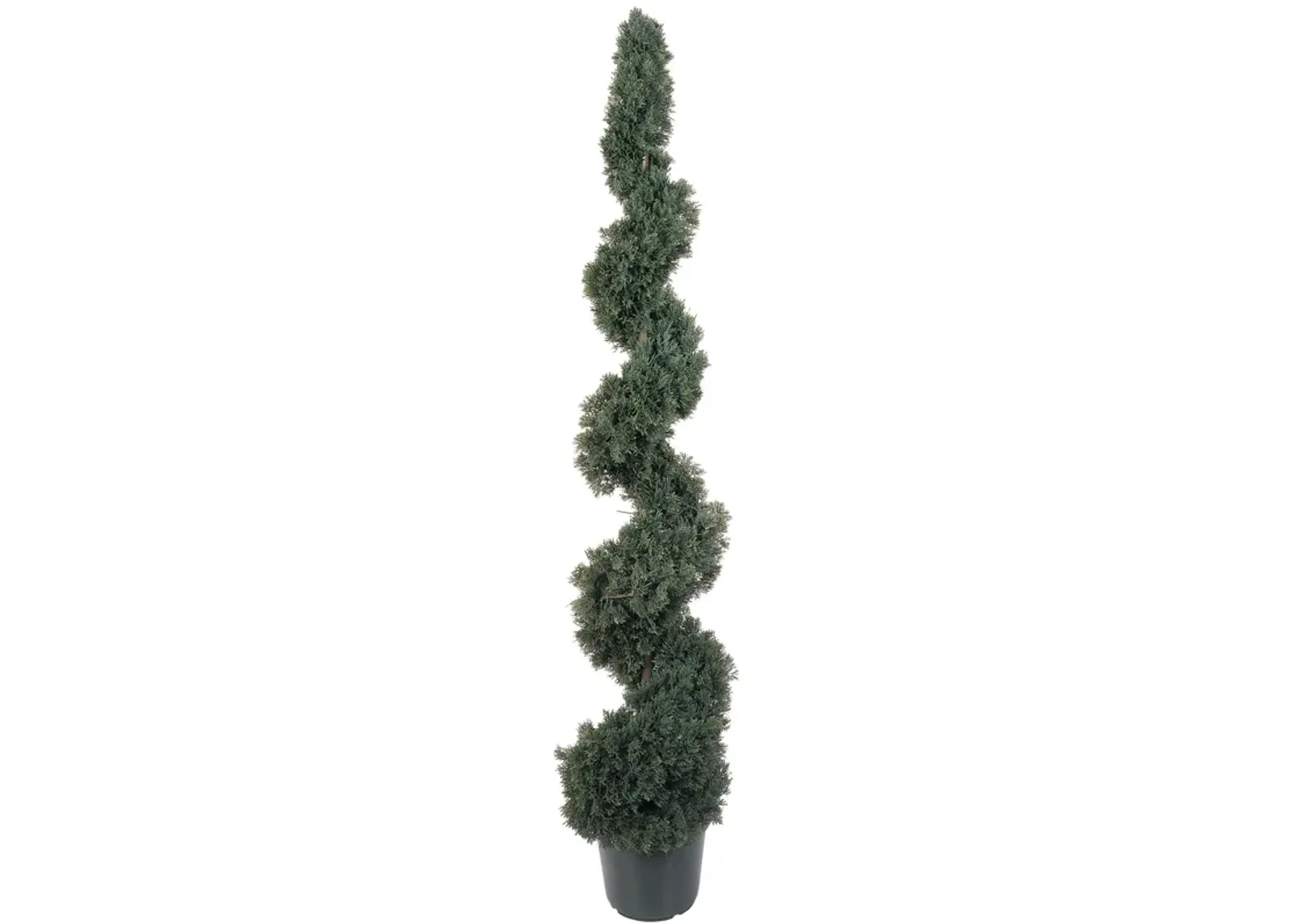 HomPlanti 5 Feet Cedar Spiral Silk Tree (In-door/Out-door)