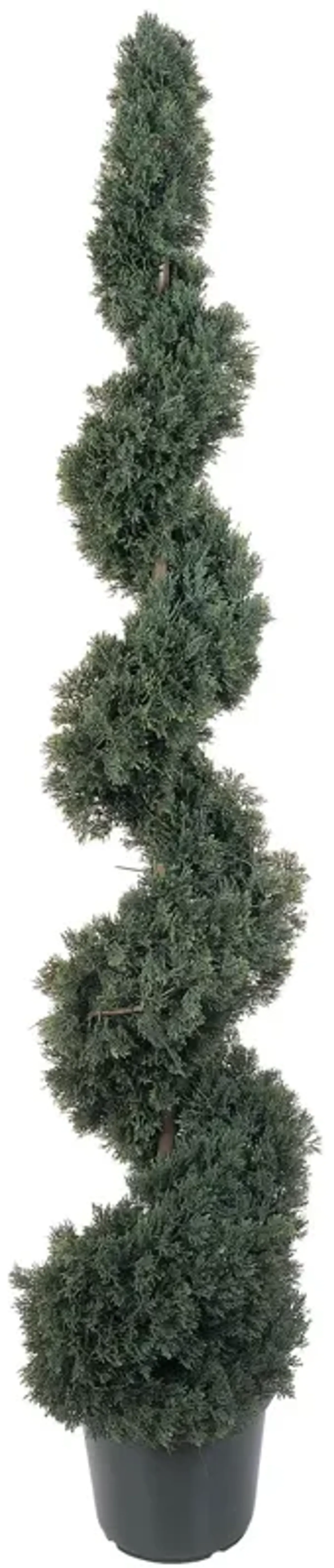 HomPlanti 5 Feet Cedar Spiral Silk Tree (In-door/Out-door)