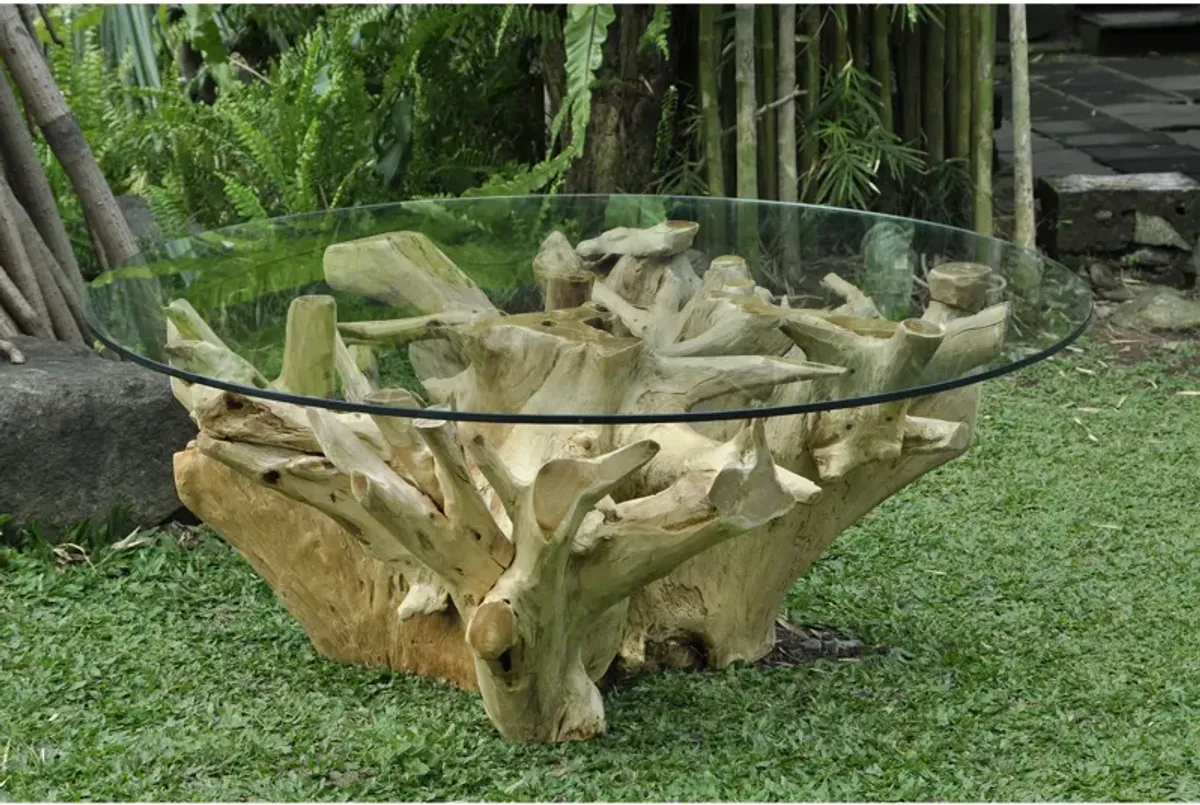 Yava Coffee Table