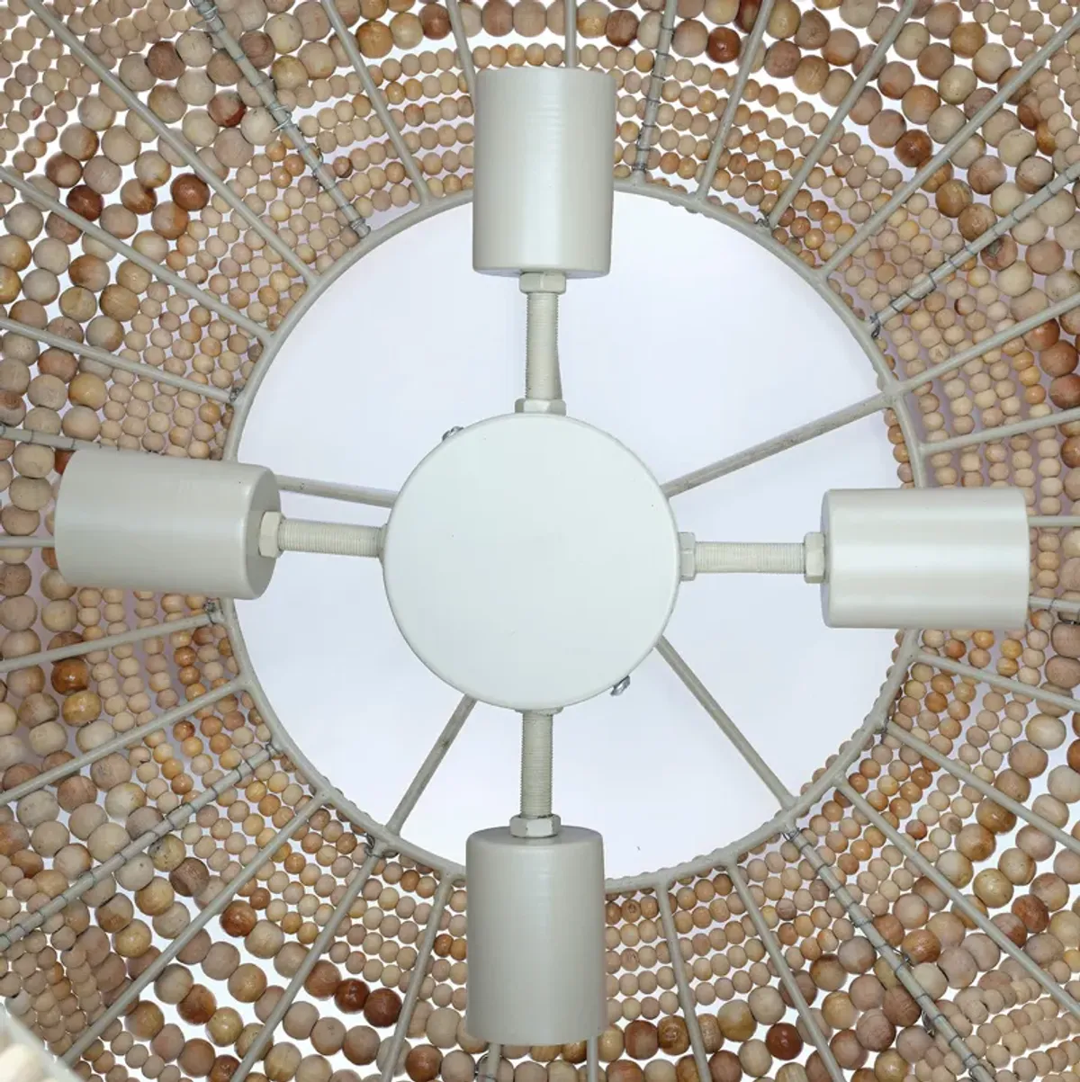 Clamshell Chandelier