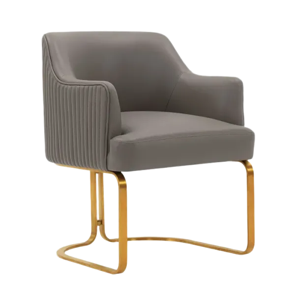 Raya Gray Dining Arm Chair