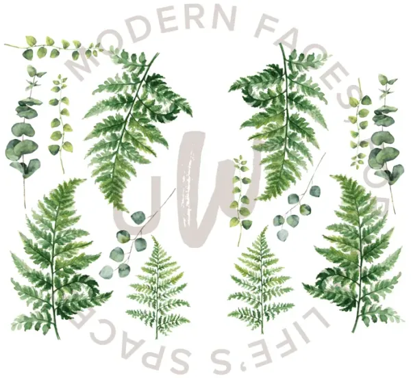 Ferns and Eucalyptus
