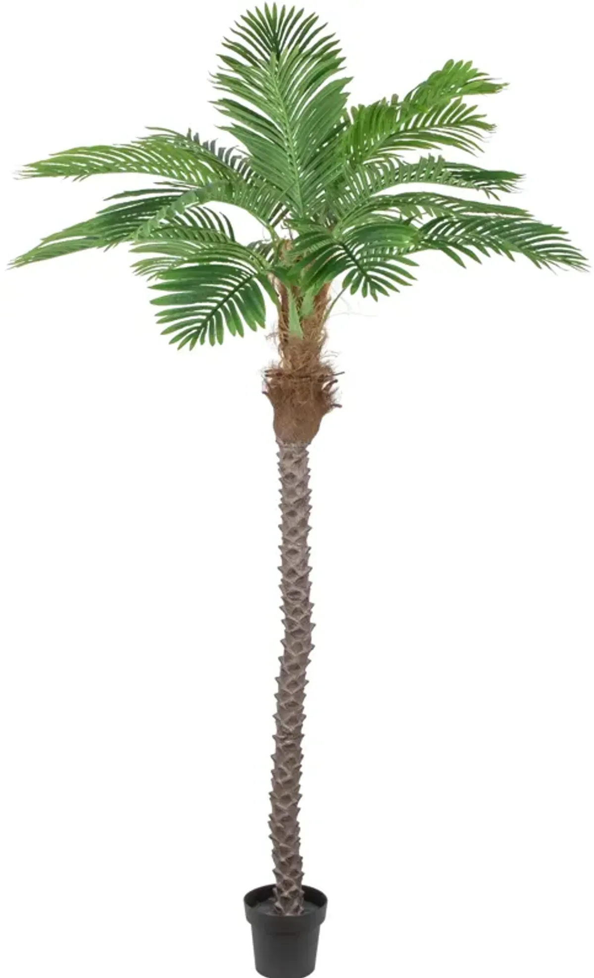 7.25' Artificial Potted Phoenix Palm Tree  Unlit