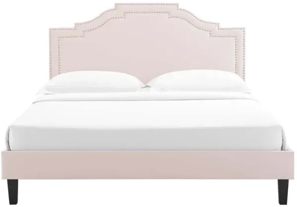 Modway - Adelaide Performance Velvet  Platform Bed