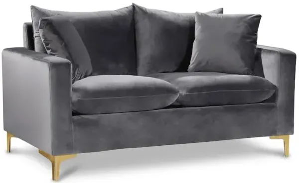 Meridian Furniture Naomi Grey Velvet Loveseat