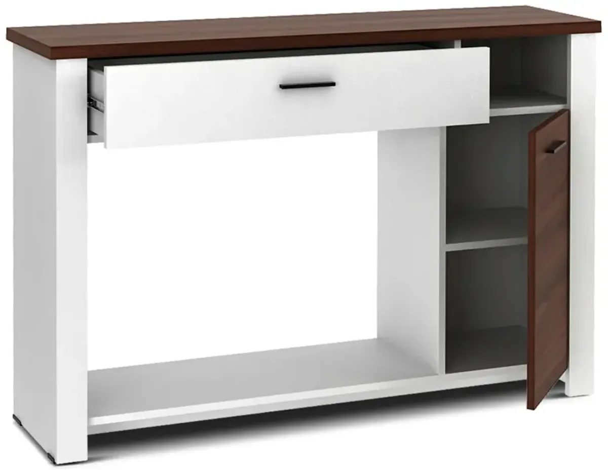 48 Inch Console Table with Drawer and Cabinet