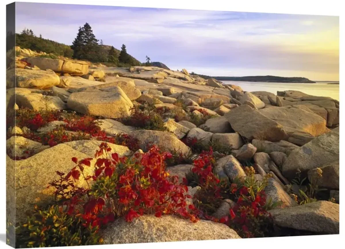 Atlantic coast near Thunder Hole, Acadia National Park, Maine-Canvas Art-32x24