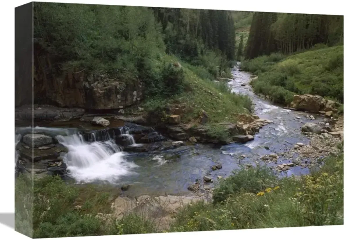 La Plata River, La Plata Canyon, San Juan National Forest, Colorado-Canvas Art-16x12