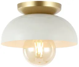 White/Gold Painting color