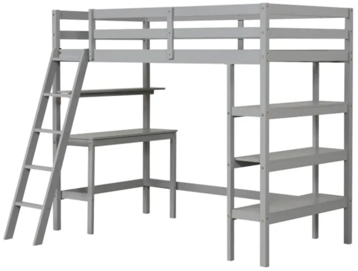 Hivvago Twin Size Loft Bed with Desk and Bookshelves for Kids and Teens