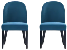 Blue color