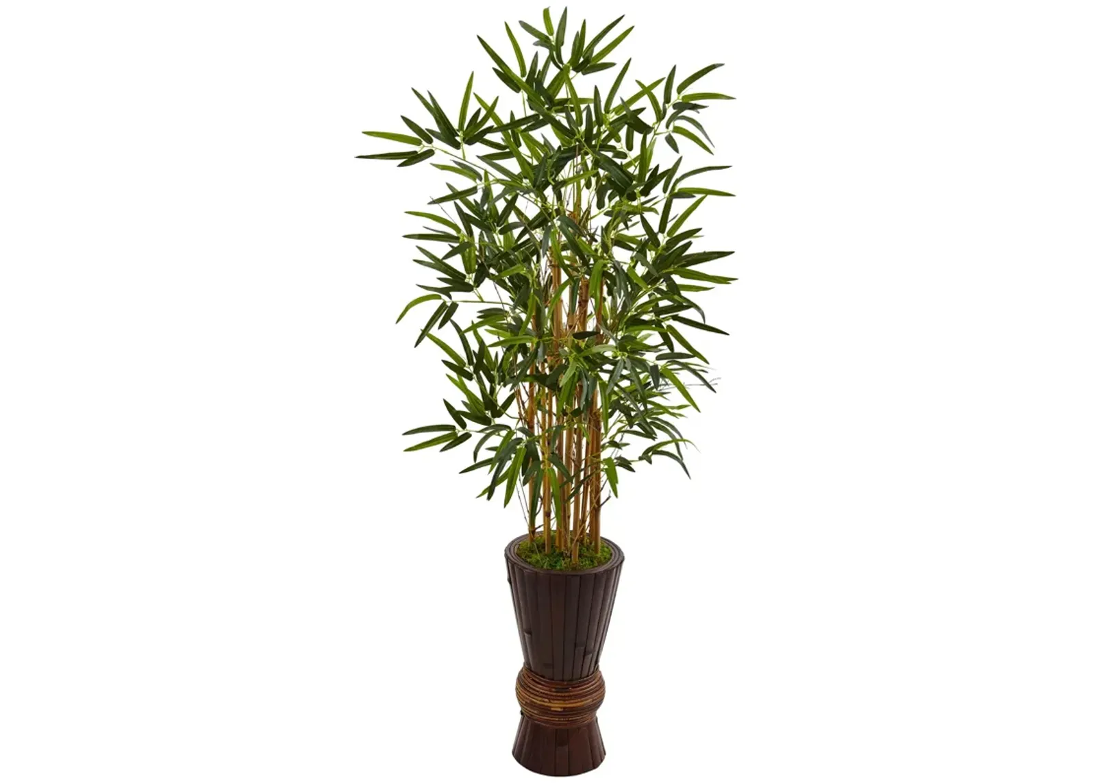 HomPlanti 4.5 Feet Bamboo Tree in Bamboo Planter