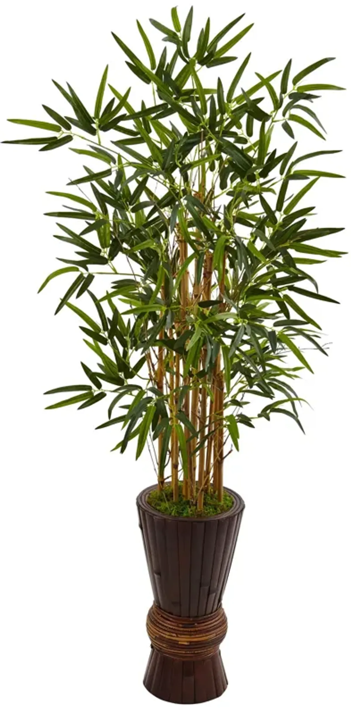 HomPlanti 4.5 Feet Bamboo Tree in Bamboo Planter